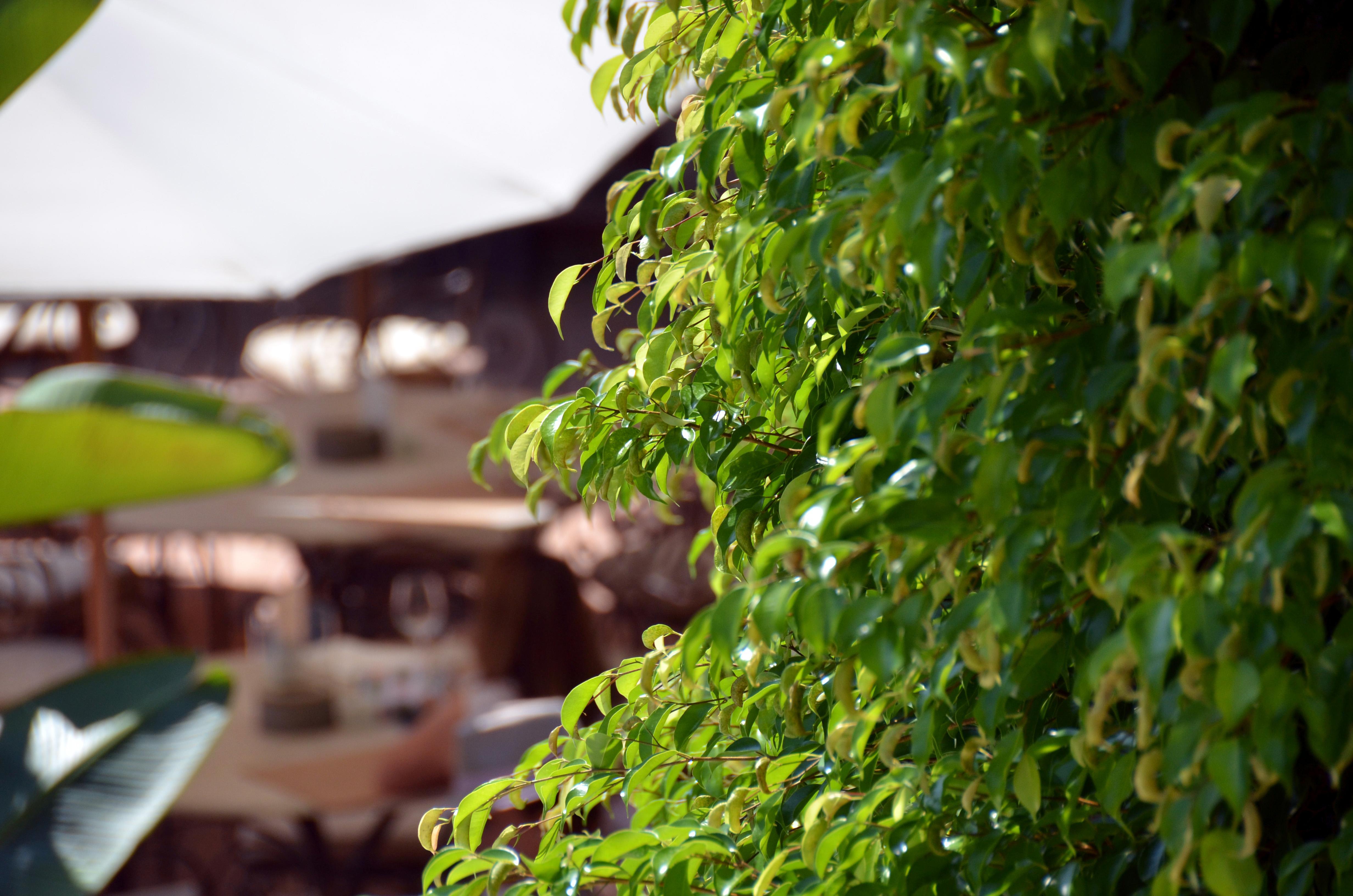 Swiss Moraira Hotel & Spa - Designed For Adults Exterior foto